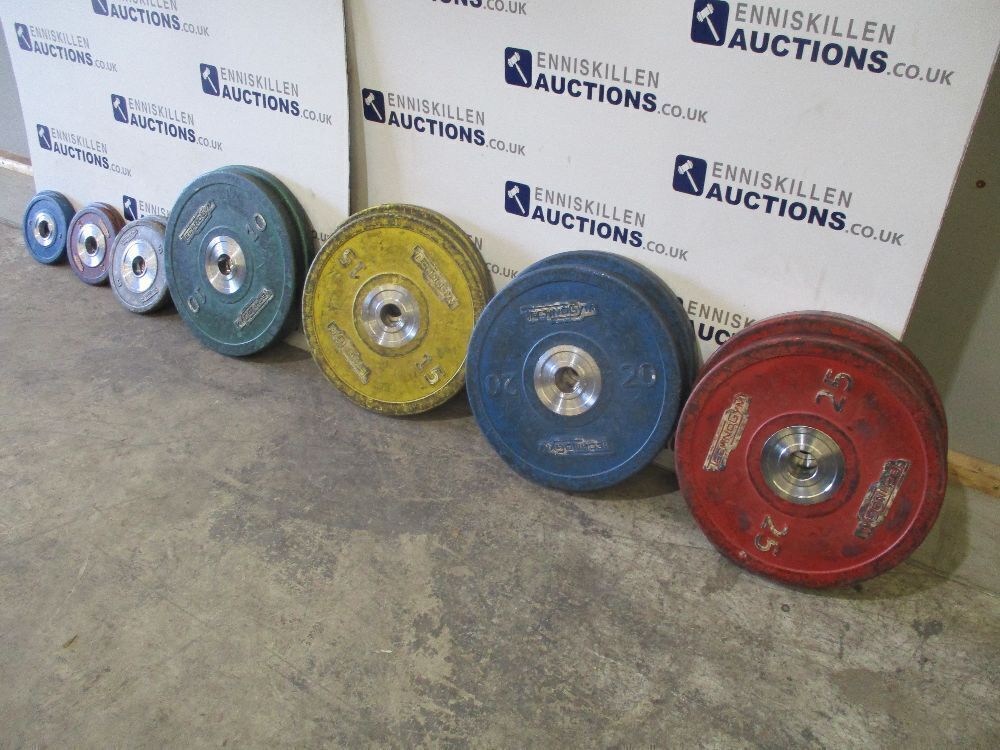 Technogym discount bumper plates